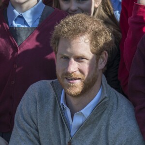 Le prince Harry visite la forêt d'Epping dans le cadre du projet '' Wood Pasture Restoration Project'' à Epping, le 15 mars 2017.