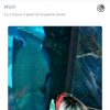 Mélanie Da Cruz dans un aquarium, à Dubaï avec Anthony Martial, mars 2017, Snapchat