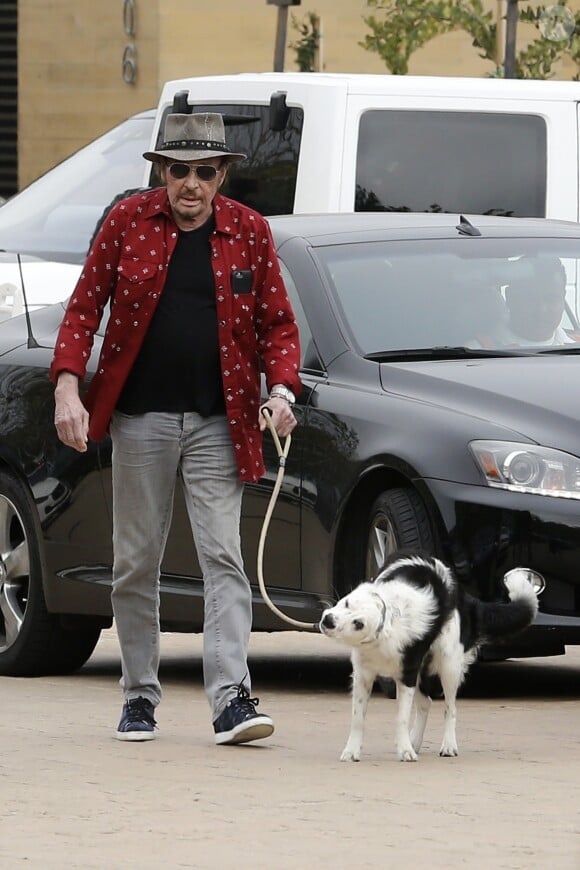 Johnny Hallyday arrive avec sa chienne Cheyenne pour aller déjeuner avec ses amis, P. Rambaldi et le musicien J.C. Sindres au restaurant Nobu dans le quartier de Malibu à Los Angeles, Californie, Etats-Unis, le 2 avril 2017.
