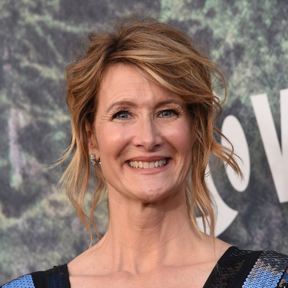 Laura Dern à la première de la série 'Twin Peaks' à l'hôtel Ace à Los Angeles, le 19 mai 2017 © Chris Delmas/Bestimage