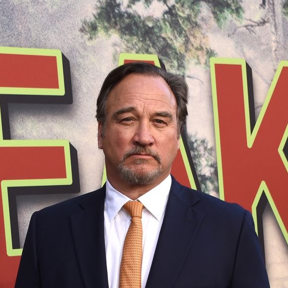 Jim Belushi à la première de la série 'Twin Peaks' à l'hôtel Ace à Los Angeles, le 19 mai 2017 © Chris Delmas/Bestimage
