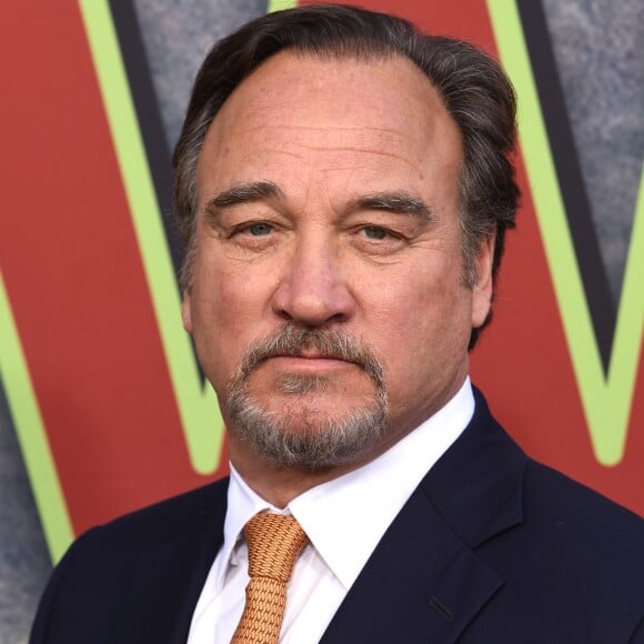 Jim Belushi à la première de la série 'Twin Peaks' à l'hôtel Ace à Los Angeles, le 19 mai 2017 © Chris Delmas/Bestimage