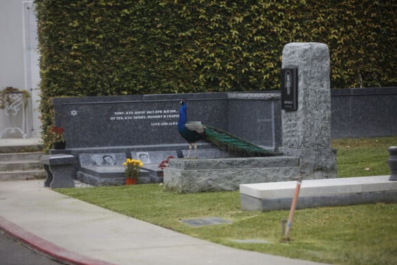La tombe de Chris Cornell à Los Angeles, le 26 mai 2017.