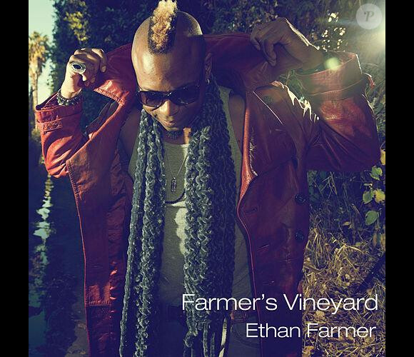 Le bassiste américain Ethan Farmer, alias EBASSMAN, a connu fin mai 2017 un incident, se poignardant lui-même après avoir consommé des gâteaux à la marijuana. Visuel de son album Farmer's Vineyard, 2015.