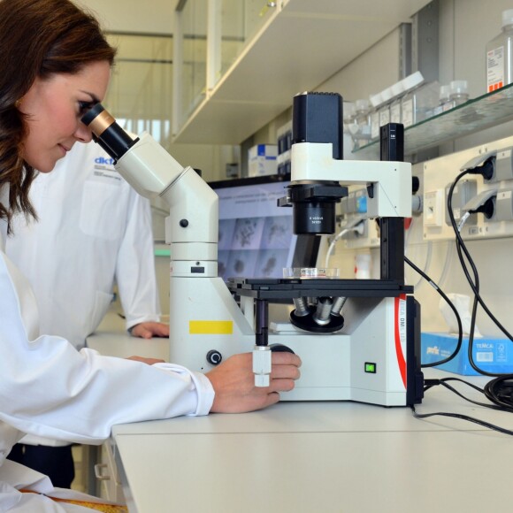 Le prince William et Kate Middleton, duc et duchesse de Cambridge, ont visité le 20 juillet 2017 le centre de recherche sur le cancer d'Heidelberg lors de leur visite officielle en Allemagne.