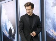 Harry Styles : Le soldat de "Dunkerque" en couple avec une Française ?