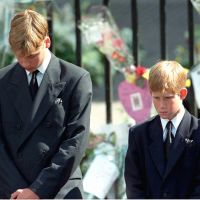 William et Harry : Ce moment où ils ont appris la mort de Diana, avec leurs mots