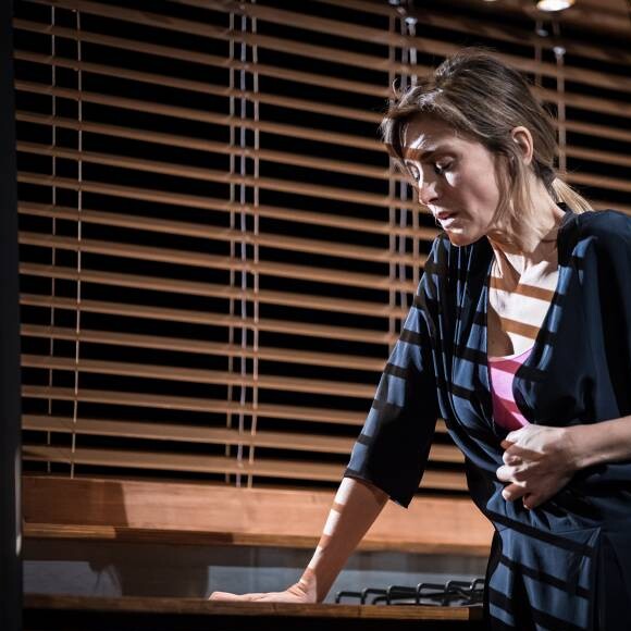 Julie Gayet dans "Rabbit Hole, Univers Parallèles" de David Lindsay-Abaire, mis en scène par Claudia Stavisky, au Théâtre des Célestins à Lyon jusqu'au 8 octobre 2017.