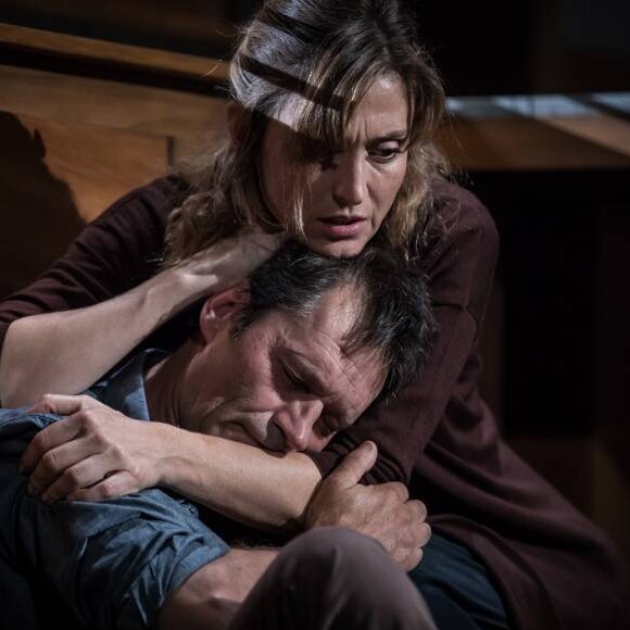 Julie Gayet et Patrick Catalifo dans "Rabbit Hole, Univers Parallèles" de David Lindsay-Abaire, mis en scène par Claudia Stavisky, au Théâtre des Célestins à Lyon jusqu'au 8 octobre 2017.