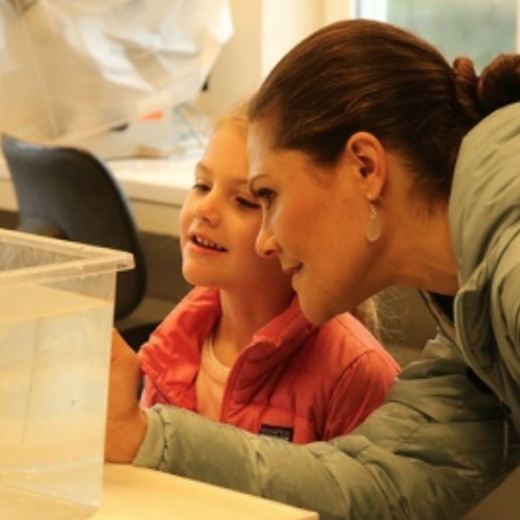 La princesse Estelle de Suède, curieuse et déjà bien renseignée sur le sujet, visitait le 29 septembre 2017 avec sa maman la princesse Victoria l'Askö Laboratory, dans l'archipel de Trosa, qui dépend du Centre sur la mer Baltique de l'Université de Stockholm. © Facebook Université de Stockholm