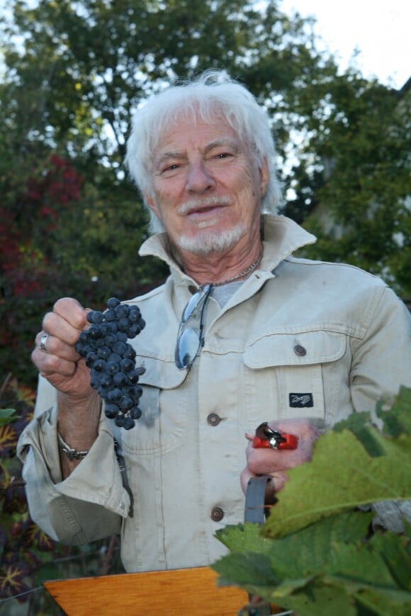 Hugues Aufray - Cérémonie du ban des vendanges du Clos-Montmartre à la Fête des Vendanges 2017 à Paris, le 14 octobre 2017 ©JLPPA/Bestimage
