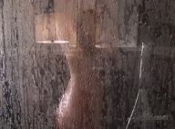 Heidi Klum entièrement nue sous la douche, sa vidéo très sexy...