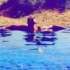 Stromae en pleine baignade. Photo publiée par sa femme Coralei Barbier sur Instagram le 8 janvier 2017. 