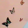 Les fans de Kylie Jenner pensent que son bébé, une fille née le 1er février, sera baptisé Butterfly ("Papillon" en français) pour les nombreux indices qu'elle a parsemés au cours des derniers mois. La jeune maman porte notamment un collier fait de papillons et a décoré la chambre de son bébé avec des papillons.