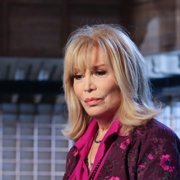 Semi-Exclusif - Amanda Lear - Enregistrement de l'émission "Animaux Stars", diffusée le 17 février 2018 sur la chaine "Animaux" au Bastille Design Center à Paris. Le 28 novembre 2017 © CVS / Bestimage