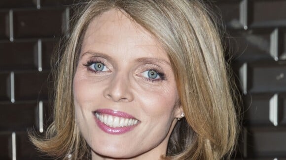 Sylvie Tellier enceinte et motivée : Sa séance de sport un peu particulière...