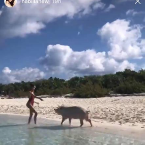 Nabilla amoureuse aux Bahamas, le 17 mai 2018 avec son chéri Thomas. Ici avec un cochon.