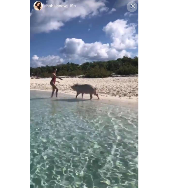 Nabilla amoureuse aux Bahamas, le 17 mai 2018 avec son chéri Thomas. Ici avec un cochon.