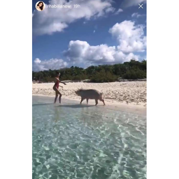 Nabilla amoureuse aux Bahamas, le 17 mai 2018 avec son chéri Thomas. Ici avec un cochon.