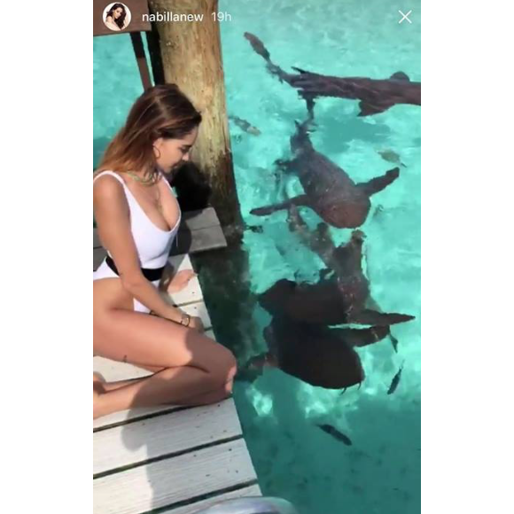 Nabilla amoureuse aux Bahamas, le 17 mai 2018 avec son chéri Thomas. Ici avec des requins.