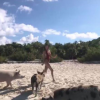 Nabilla amoureuse aux Bahamas, le 17 mai 2018 avec son chéri Thomas. Ici avec des cochons.