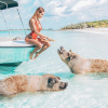 Nabilla au milieu des cochons dans les Bahamas, le 17 mars 2018.