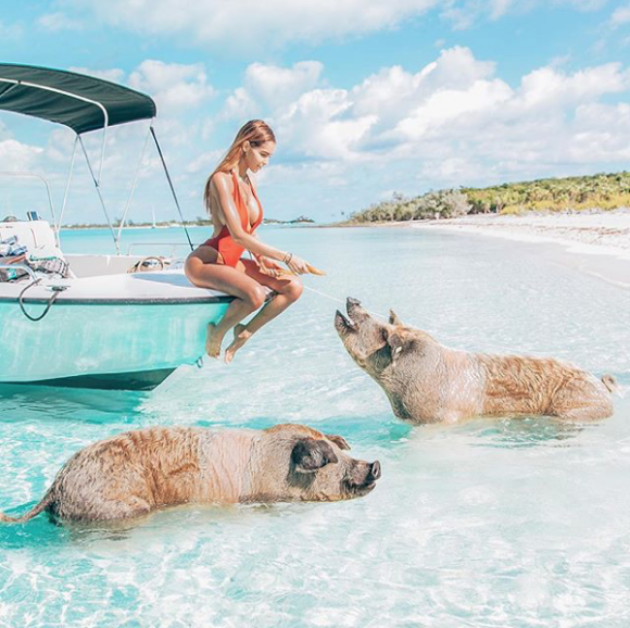 Nabilla au milieu des cochons dans les Bahamas, le 17 mars 2018.
