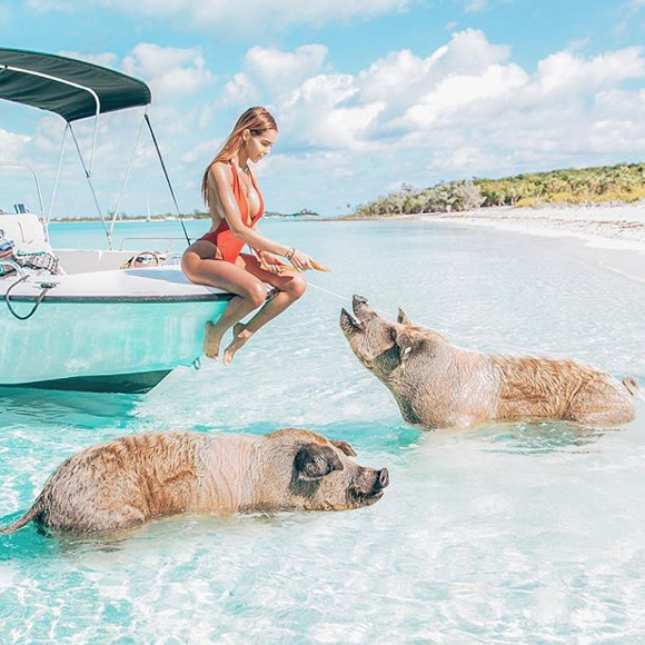 Nabilla au milieu des cochons dans les Bahamas, le 17 mars 2018.