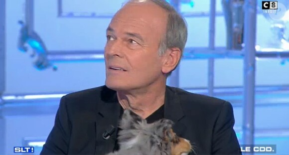 Thierry Ardisson se moque de Stéphane Guillon - "Salut les terriens", samedi 7 avril 2018, C8