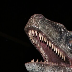 Christophe Beaugrand à l'exposition "Jurassic World" à la Cité du Cinéma. Saint-Denis, le 12 avril 2018. © Denis Guignebourg/Bestimage