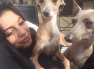 Kylie Jenner : Sa dernière folie... Pour ses chiens !