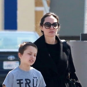 Exclusif - Angelina Jolie et son fils Knox sont allés faire des achats au magasin animalier Pet Smart à Los Angeles, le 25 mars 2018