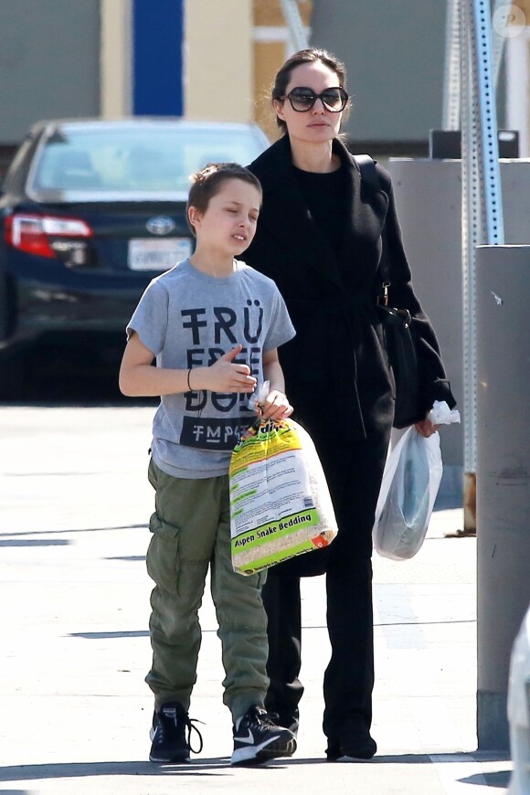 Exclusif - Angelina Jolie et son fils Knox sont allés faire des achats au magasin animalier Pet Smart à Los Angeles, le 25 mars 2018