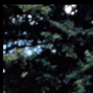 Robert Redford en 1992