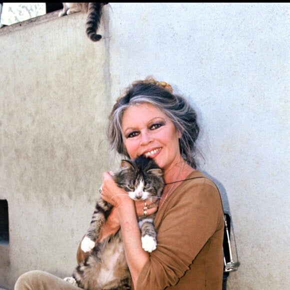 Brigitte Bardot en 1991.