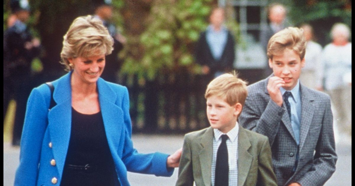 Lady Diana avec le prince Harry et le prince William à la ...