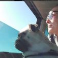 Annelise Hesme et son chien Mc Fly - Instagram, 1er octobre 2018