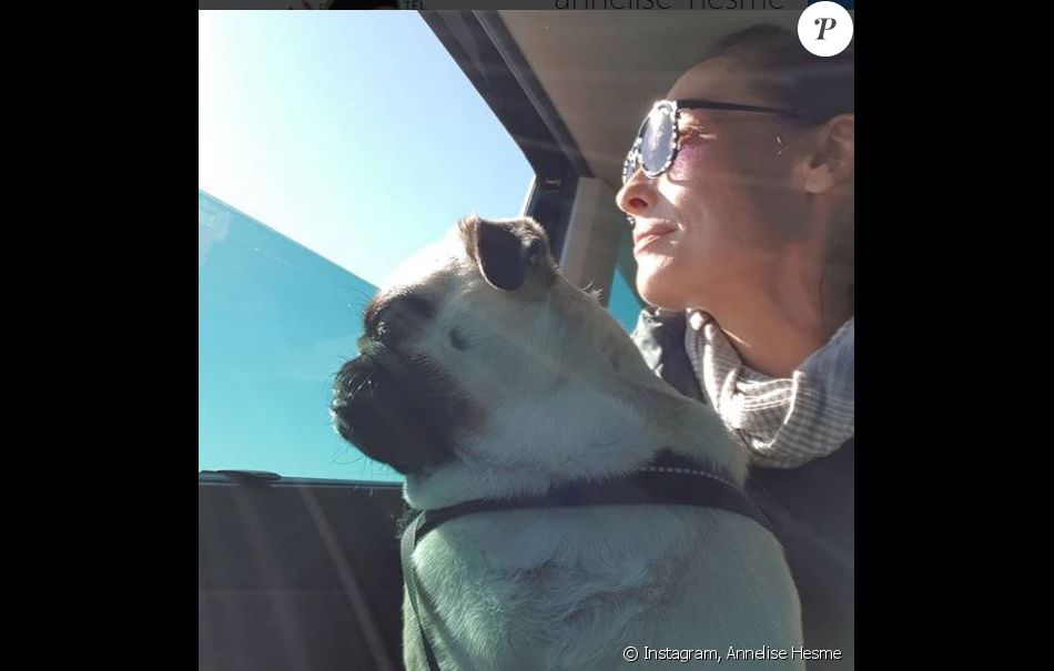 Annelise Hesme Et Son Chien Mc Fly Instagram 1er Octobre 2018 Purepeople