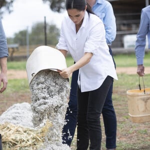 Meghan Markle et le prince Harry lors de leur visite de ferme Moutain view à Dubbo, en Australie, le 17 octobre 2018.