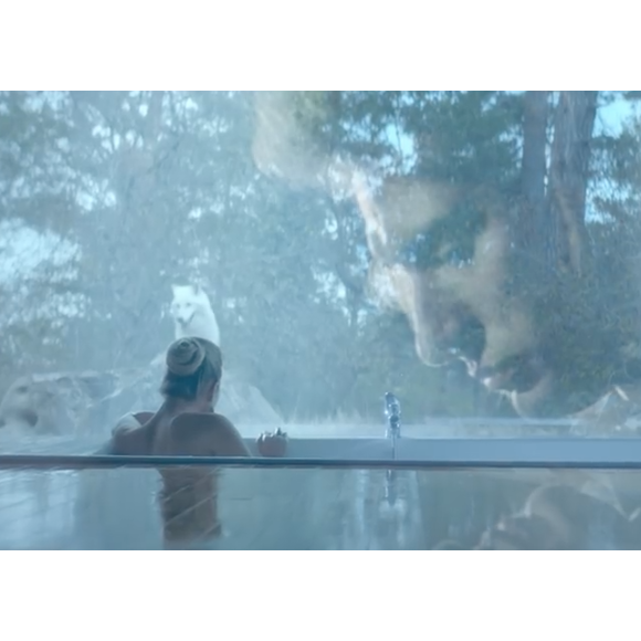Image du clip de Johnny Hallyday "Pardonne-moi" sorti le 20 novembre 2018.