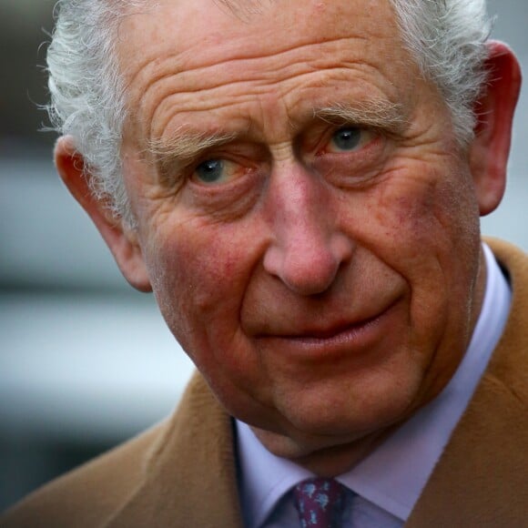 Le prince Charles, prince de Galles et Camilla Parker Bowles, duchesse de Cornouailles inaugurent une statue (une tête de cheval) en l'honneur du 70ème anniversaire du prince Charles lors du "Countryside Fund Raceday" à Ascot le 23 novembre 2018.