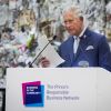 Le prince Charles, prince de Galles assiste à un sommet sur la gestion des déchets à Londres le 22 novembre 2018.