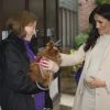 Meghan Markle, duchesse de Sussex, enceinte, en visite chez Mayhew, un centre d'accueil caritatif pour animaux à Londres le 16 janvier 2019.