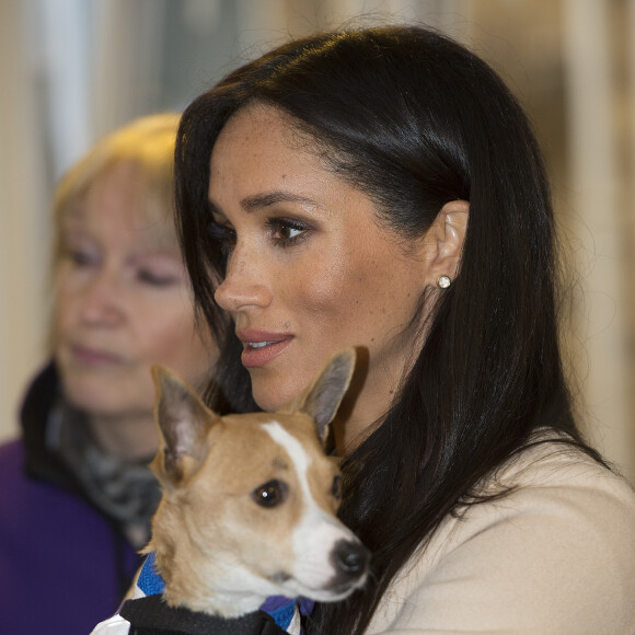 Meghan Markle, duchesse de Sussex, enceinte, en visite chez Mayhew, un centre d'accueil caritatif pour animaux à Londres le 16 janvier 2019.