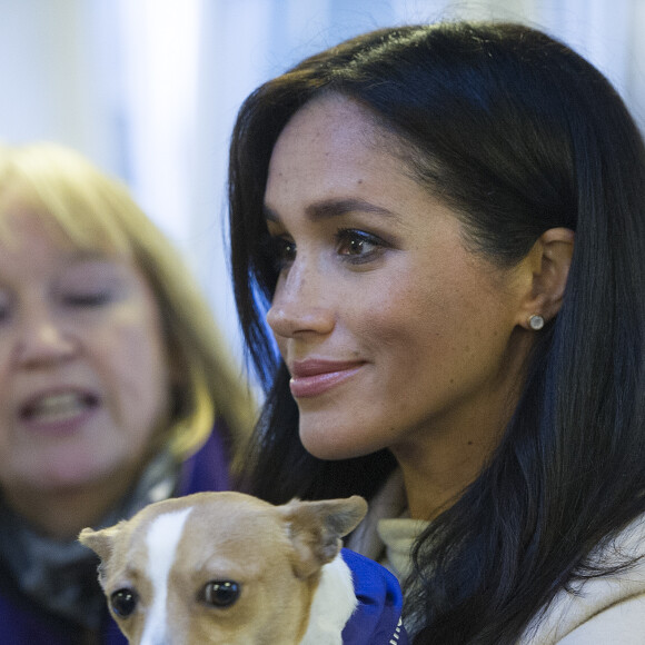 Meghan Markle, duchesse de Sussex, enceinte, en visite chez Mayhew, un centre d'accueil caritatif pour animaux à Londres le 16 janvier 2019.