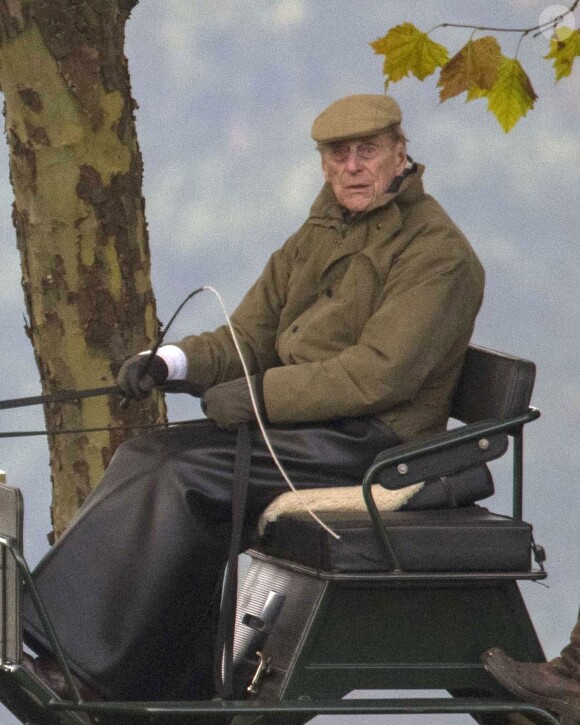 Le prince Philip, duc d'Edimbourg, en calèche à Windsor le 5 novembre 2018.