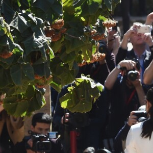 Le prince Harry, duc de Sussex, et Meghan Markle, duchesse de Sussex, enceinte, rencontrent des artisans marocains dans un parc avec des plantes exotique à Rabat, Maroc le 25 février 2019.