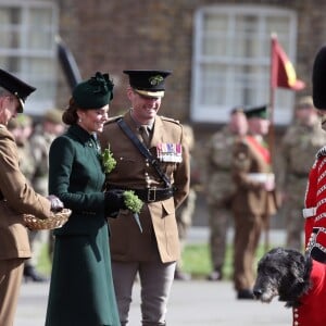 Le Prince William et Kate Middleton, duchesse de Cambridge, lors de la parade de la Saint Patrick dans le quartier de Hounslow à Londres le 17 mars 2019.