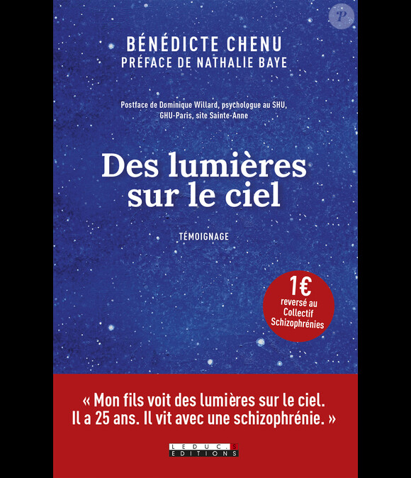 Des lumières dans le ciel, écrit par Bénédicte Chenu (éditions Leduc.s)