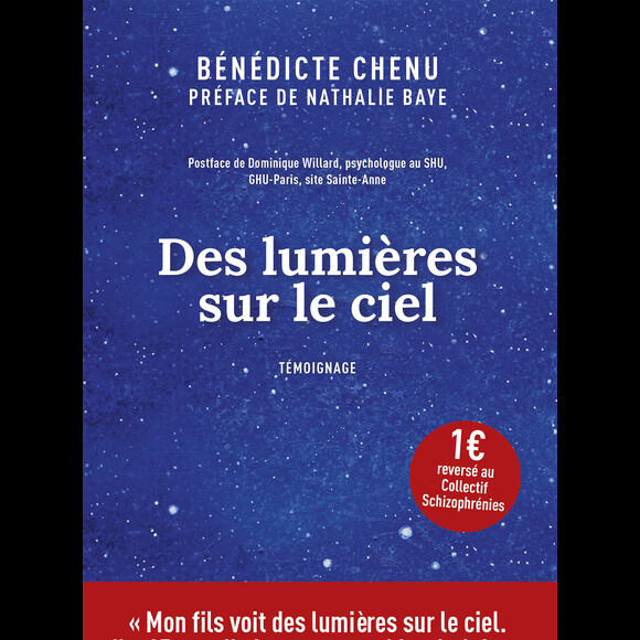Des lumières dans le ciel, écrit par Bénédicte Chenu (éditions Leduc.s)